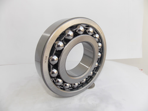 Fancy Self-Aligning Ball Bearing